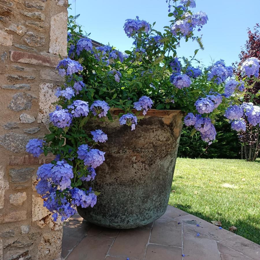 Casale1918 Bed and Breakfast Pietrasanta Εξωτερικό φωτογραφία